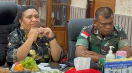 Penjabat Gubernur Papua Tengah, Dr. Ribka Haluk, S.SOS., MM/istimewa