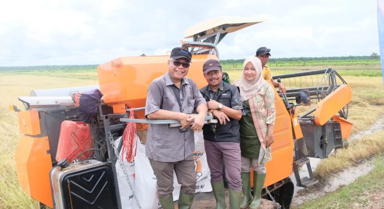 foto slider headline