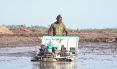BULOG dukung percepatan pengembangan lumbung pangan nasional di Merauke