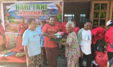 Dari Kampung Yoka, Semangat Pangan Berdaulat Digaungkan Masyarakat Adat